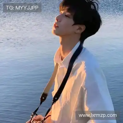 沈辉